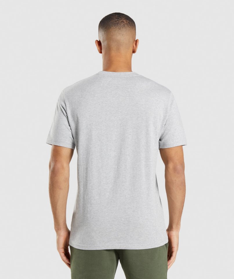 Men's Gymshark Crest T-Shirts Light Grey | CA 5367N8